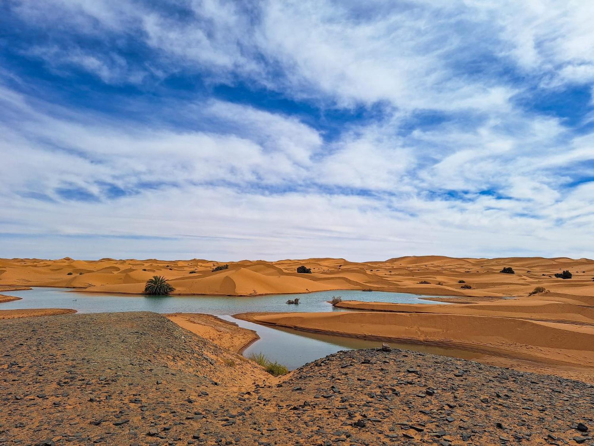 Maison Merzouga Guest House Екстер'єр фото