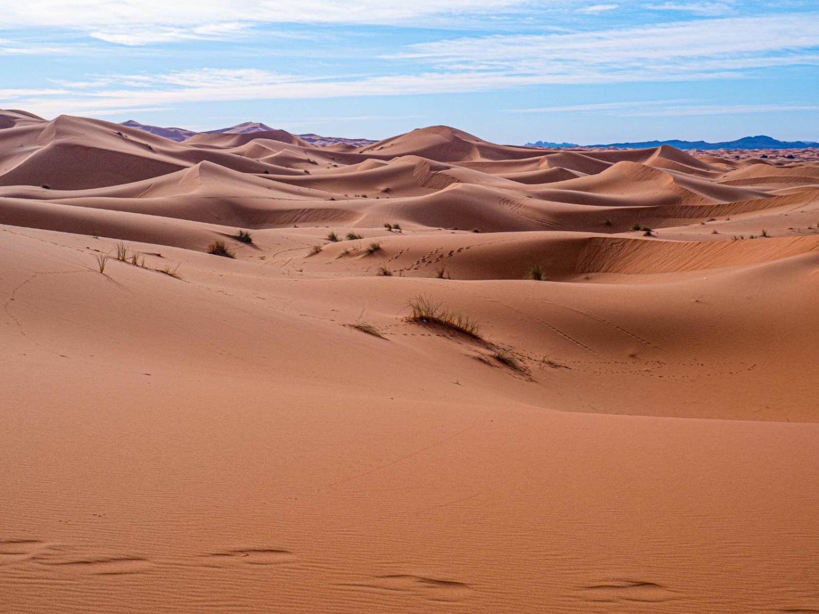 Maison Merzouga Guest House Екстер'єр фото